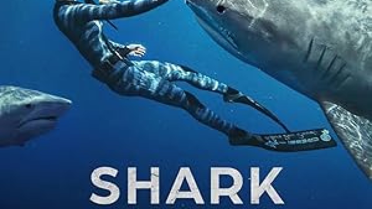 فيلم Shark Whisperer 2025 مترجم