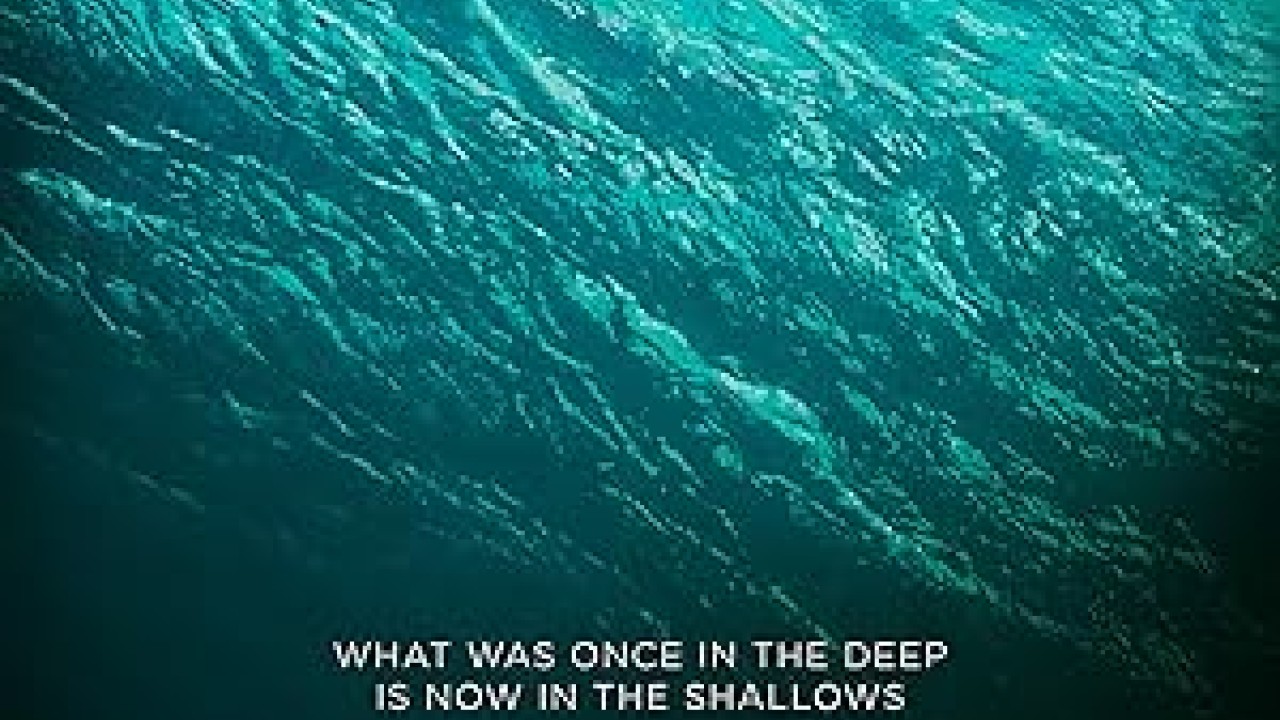 فيلم The Shallows 2016 مترجم