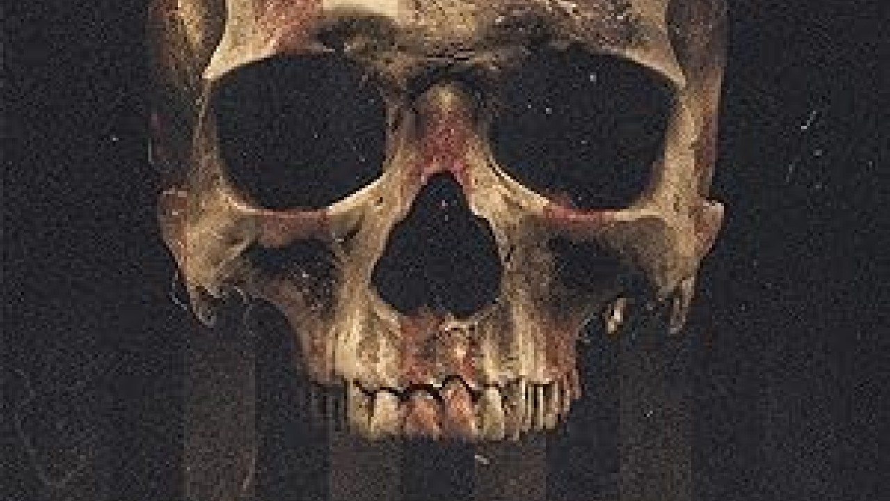 مشاهدة فيلم Herd 2023 مترجم