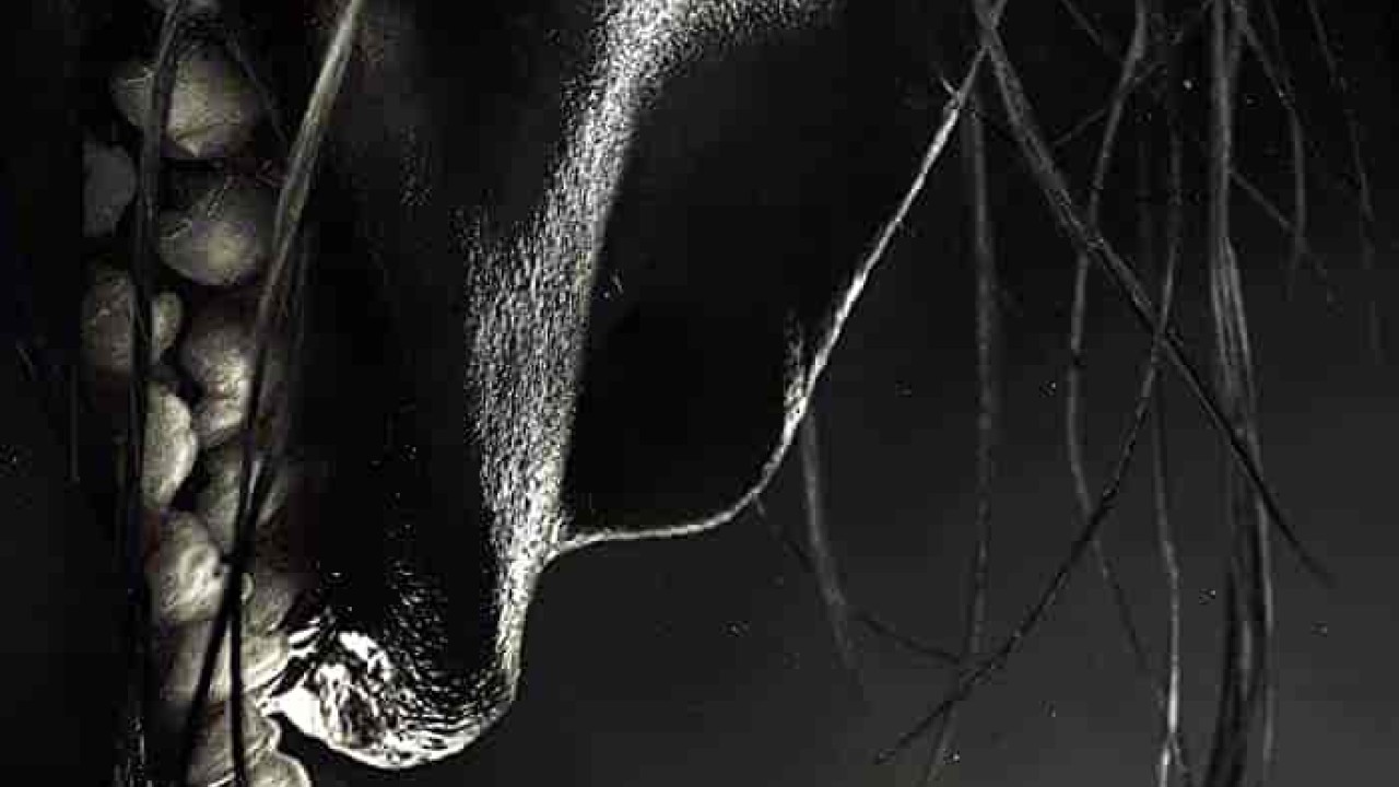 فيلم Grimcutty 2022 مترجم اون لاين