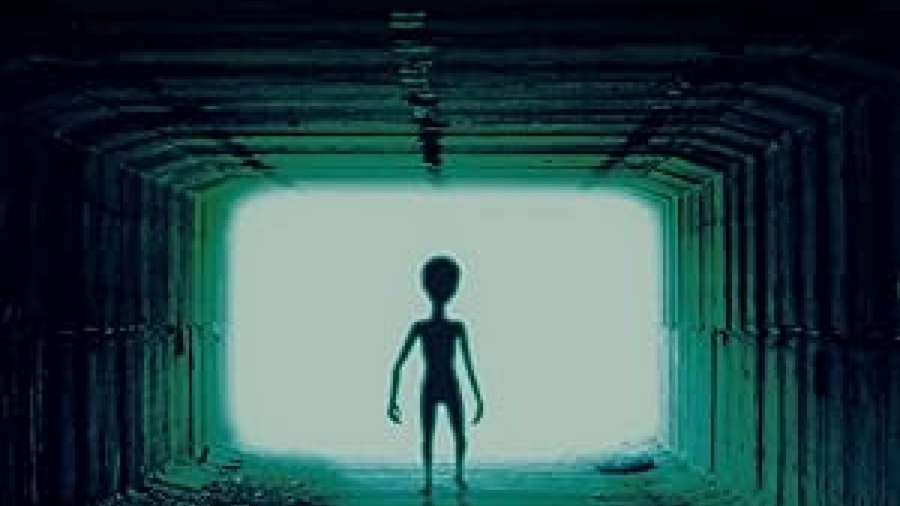 فيلم The Night the World Ends 2024 مترجم اون لاين