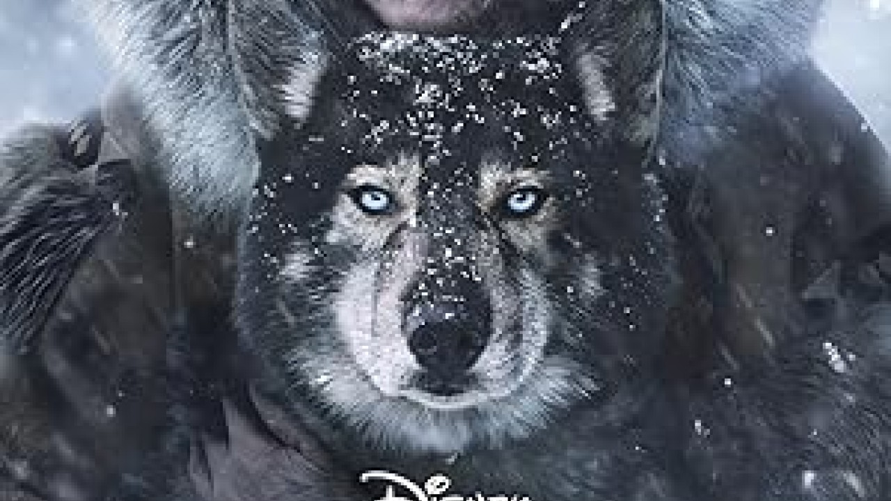 فيلم Togo 2019 مترجم