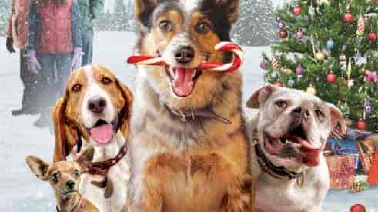 فيلم Pups Alone 2021 مترجم اون لاين