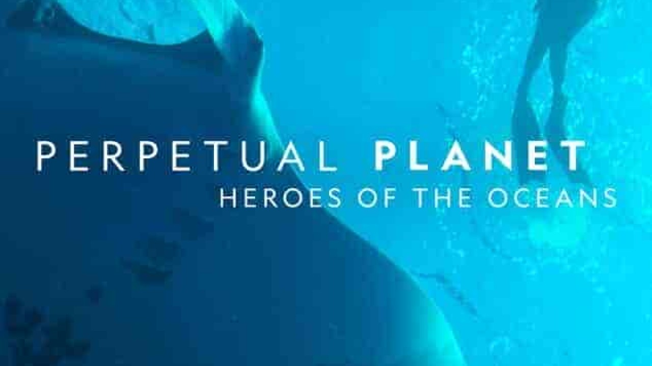 فيلم Perpetual Planet: Heroes of the Oceans 2021 مترجم اون لاين