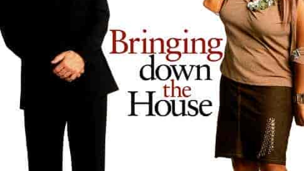 فيلم Bringing Down the House 2003 مترجم