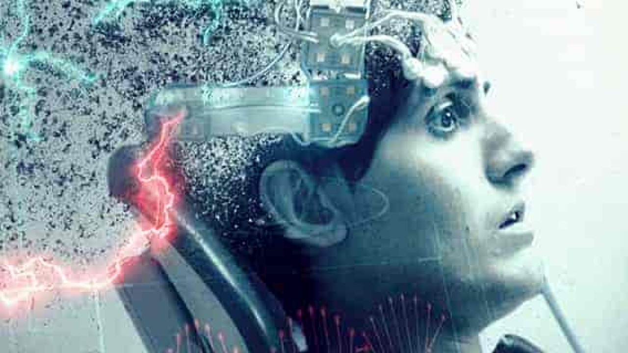 فيلم Zoo-Head 2019 مترجم