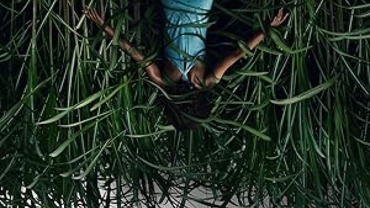 فيلم In the Tall Grass 2019 مترجم