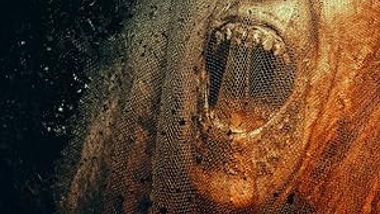 فيلم Siccin 4 2017 مترجم