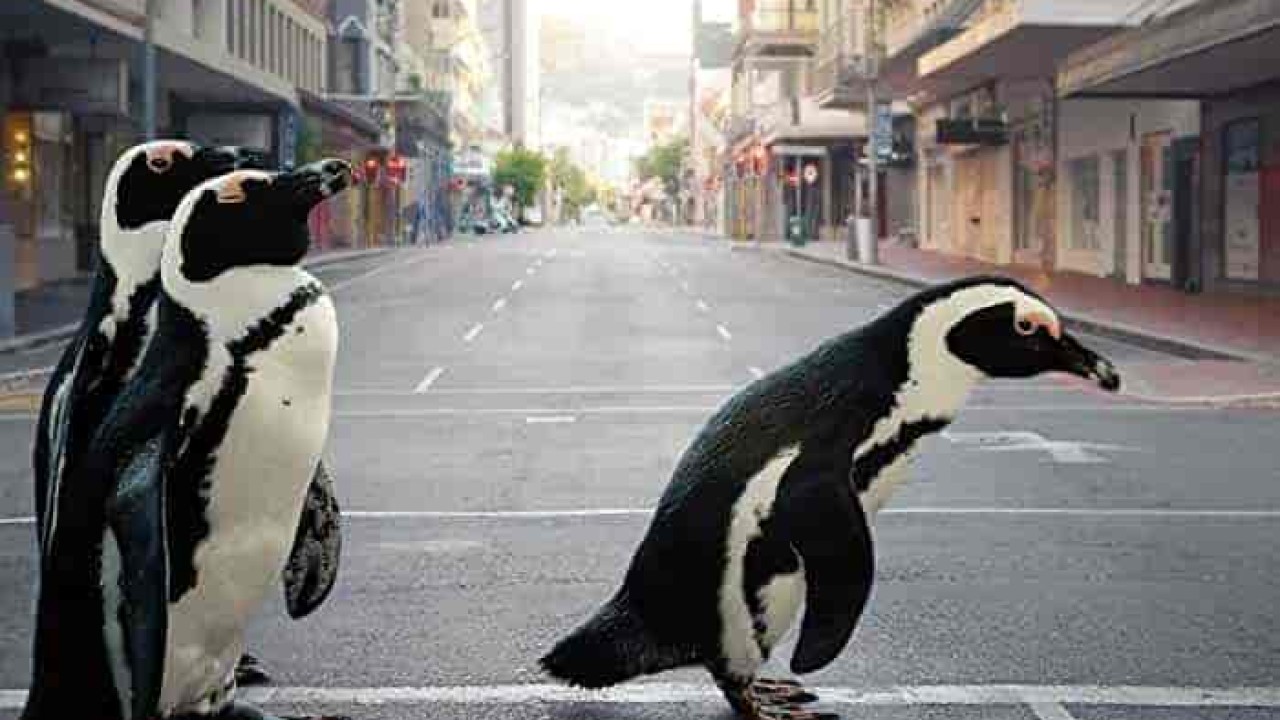 فيلم The Year Earth Changed 2021 مترجم اون لاين