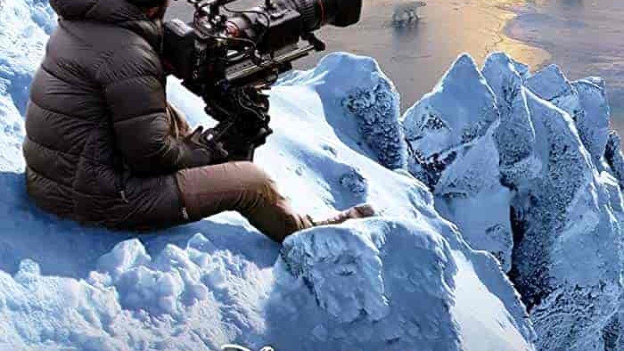 فيلم Bear Witness 2022 مترجم اون لاين