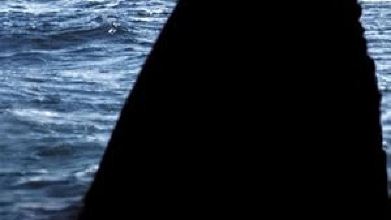 فيلم Open Water 2003 مترجم