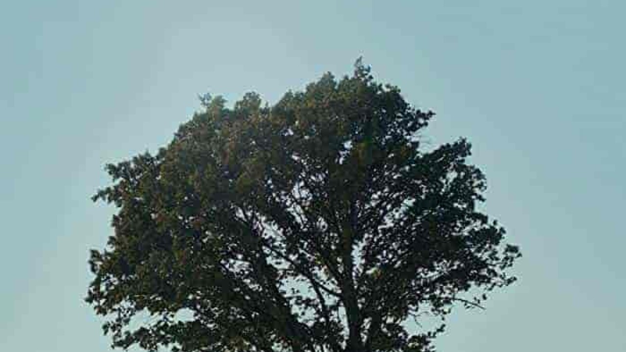 فيلم التزام حسن Baglilik Hasan 2021 مترجم اون لاين