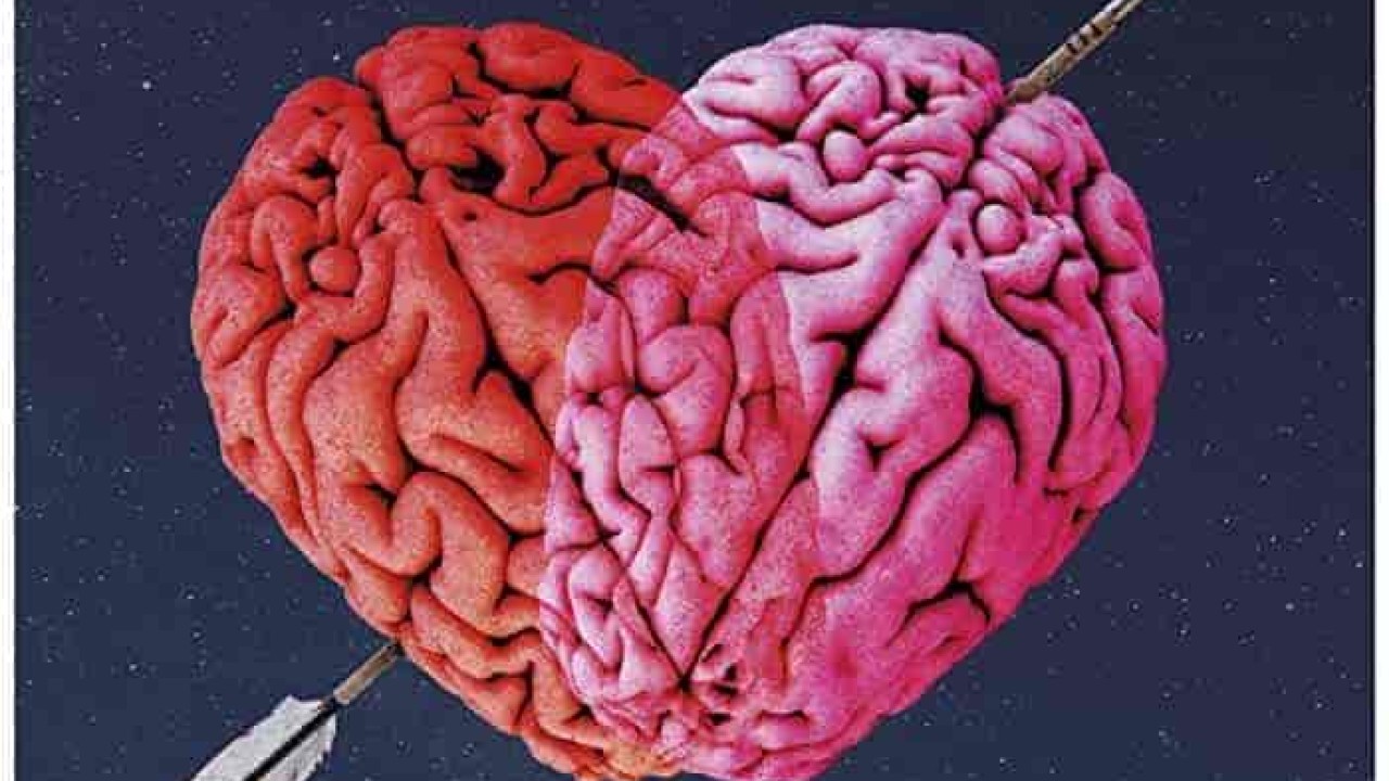 فيلم Diorama 2022 مترجم اون لاين