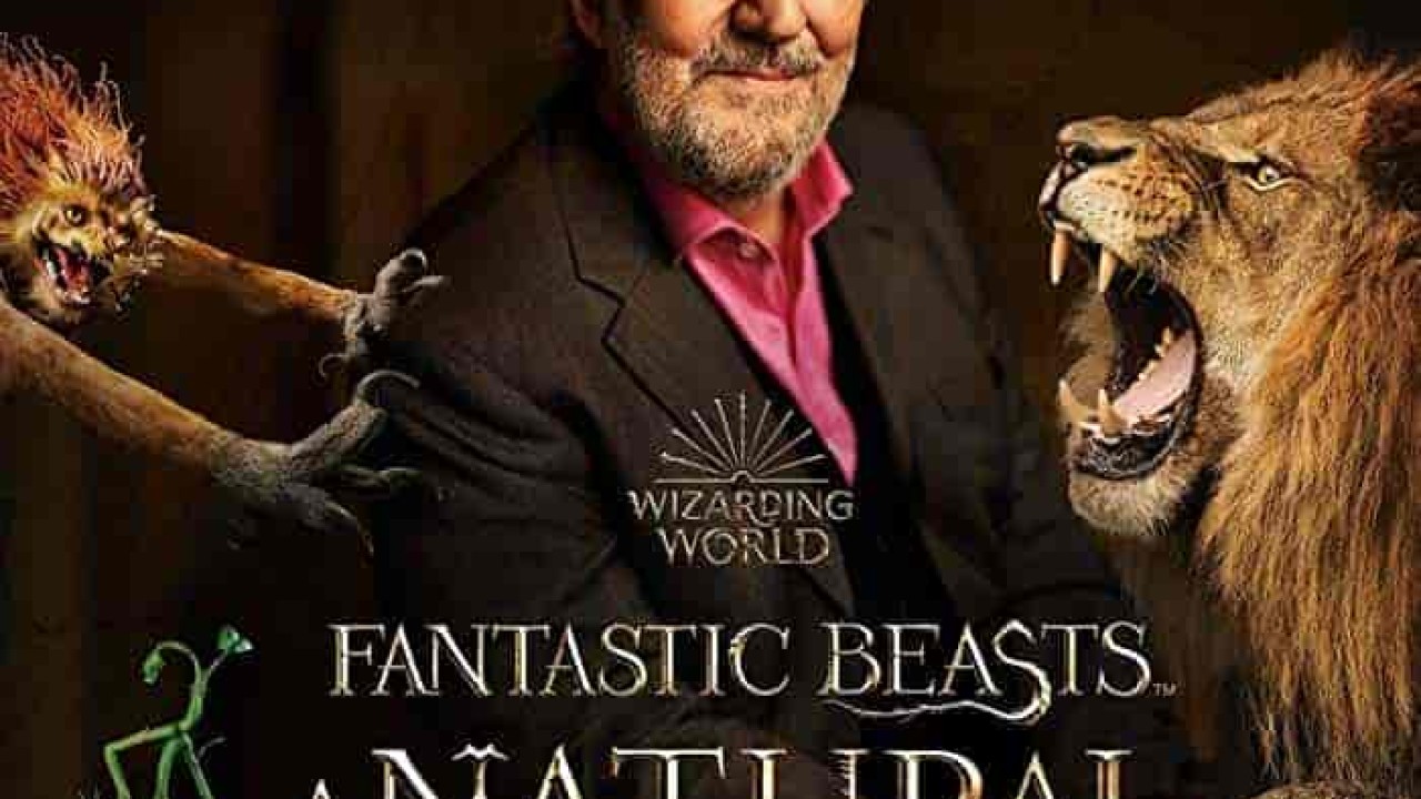 فيلم Fantastic Beasts: A Natural History 2022 مترجم اون لاين