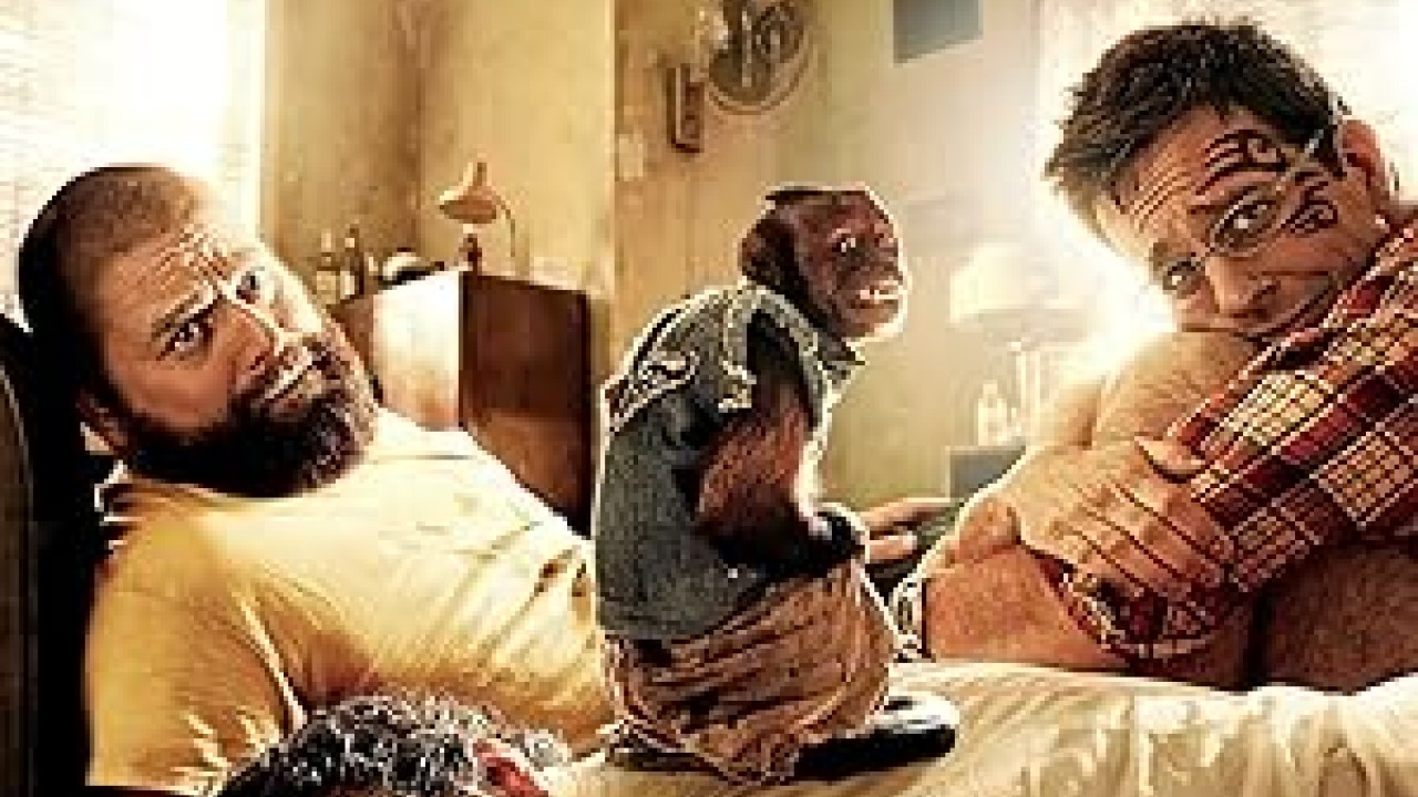 فيلم The Hangover Part II 2011 مترجم