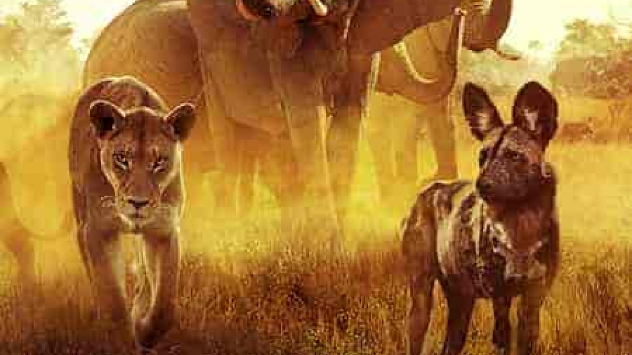 فيلم Surviving Paradise: A Family Tale 2022 مترجم اون لاين