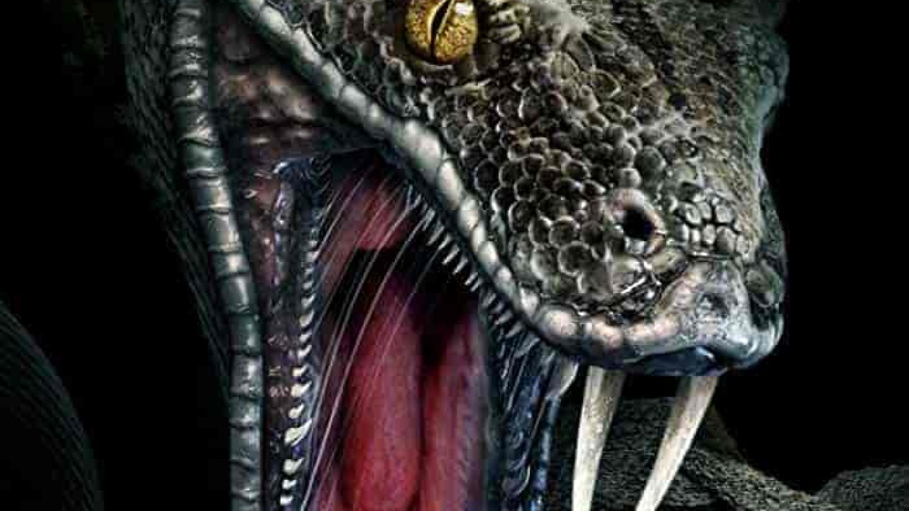 فيلم Megaboa 2021 مترجم اون لاين