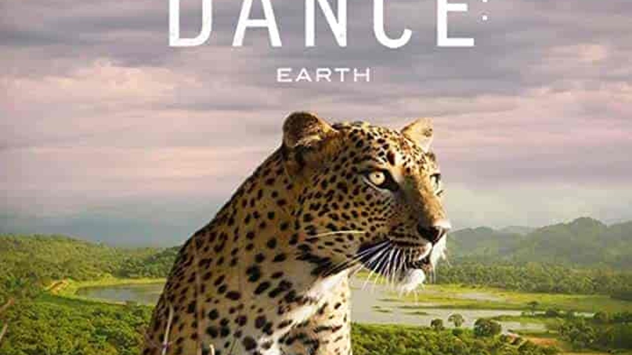 فيلم The Riot and the Dance 2020 مترجم اون لاين