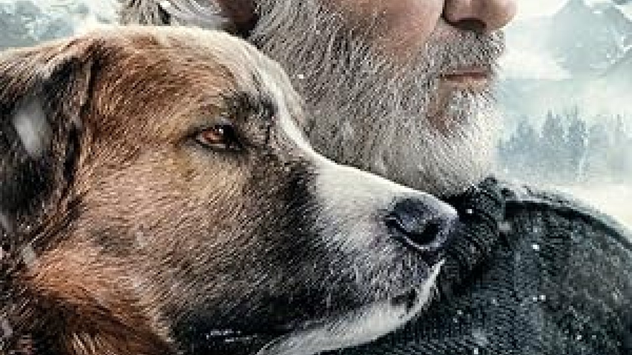 فيلم The Call of the Wild 2020 مترجم