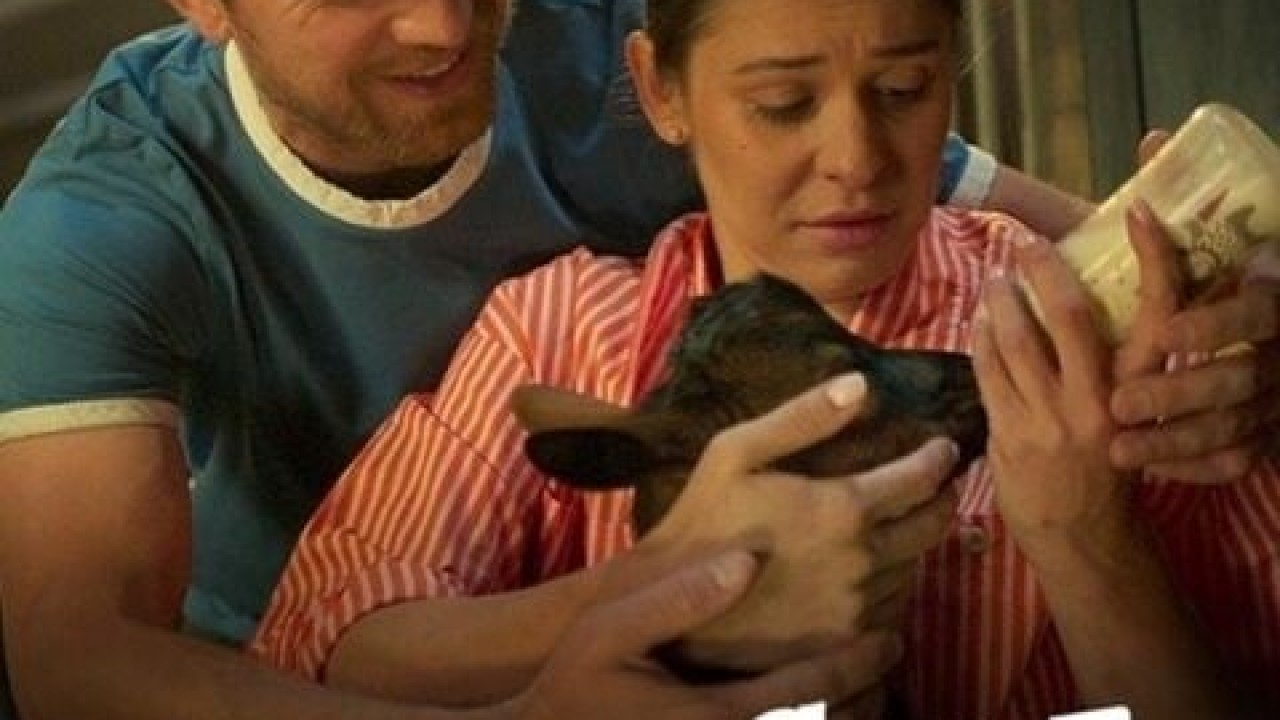 فيلم No Pressure 2024 مترجم اون لاين