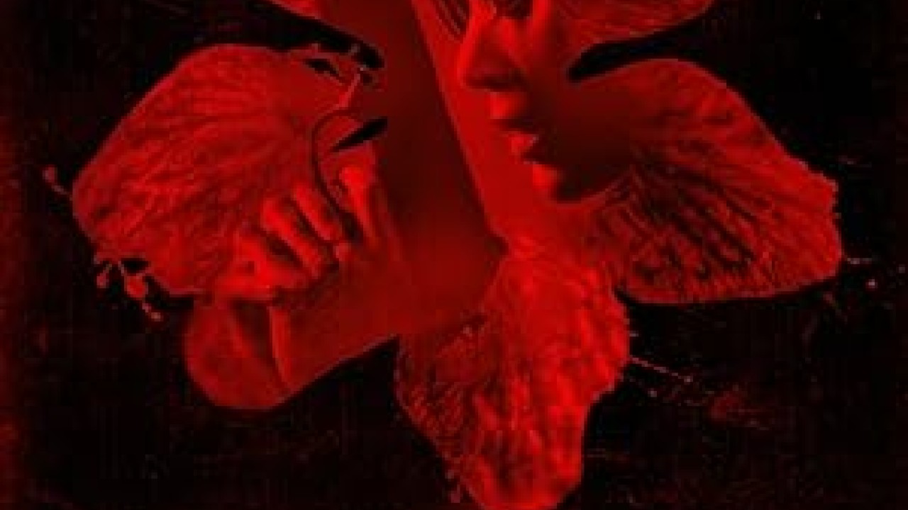 فيلم Colombiana 2011 مترجم