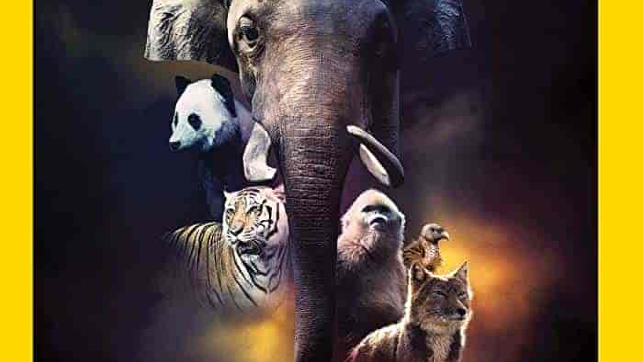 فيلم The Hidden Kingdoms of China 2020 مترجم اون لاين