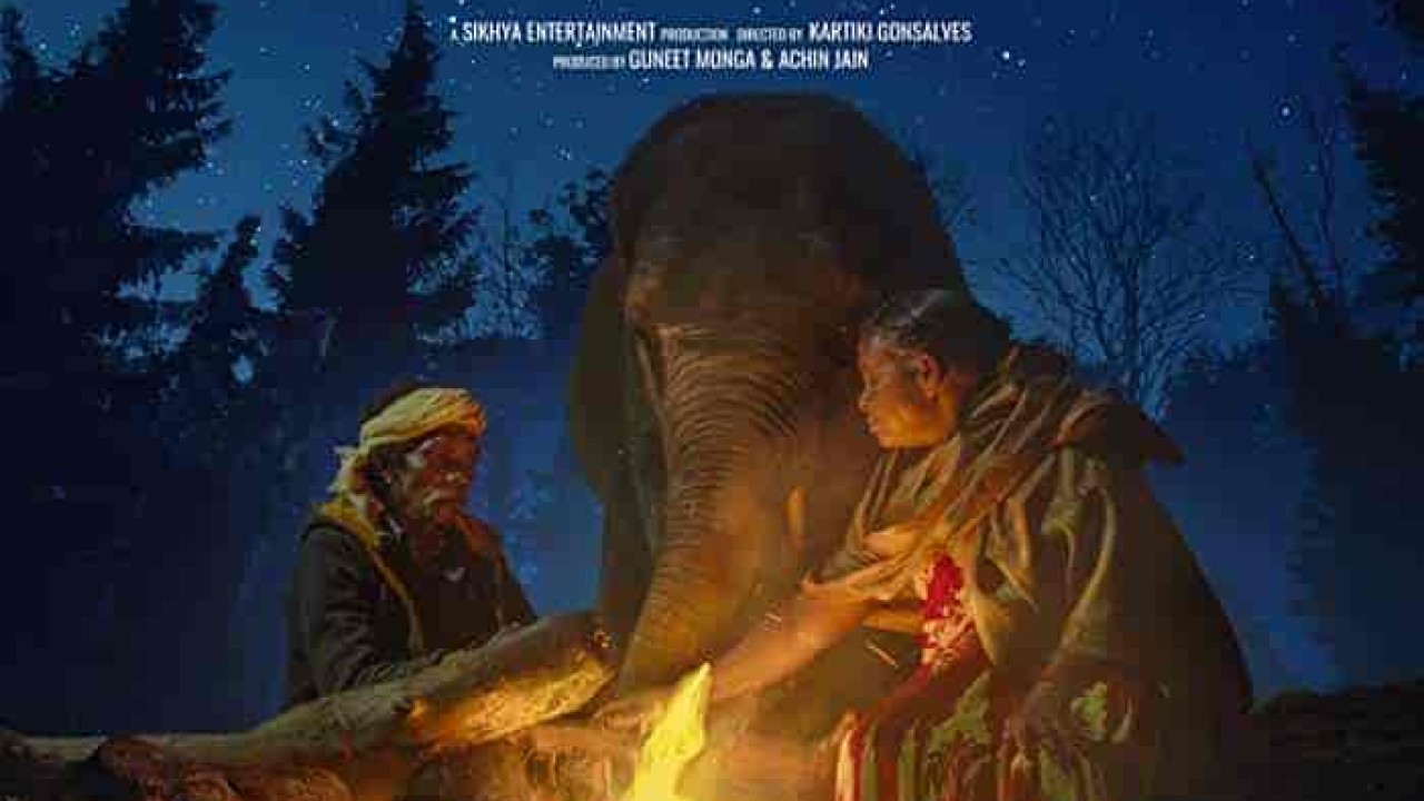 فيلم The Elephant Whisperers 2022 مترجم اون لاين
